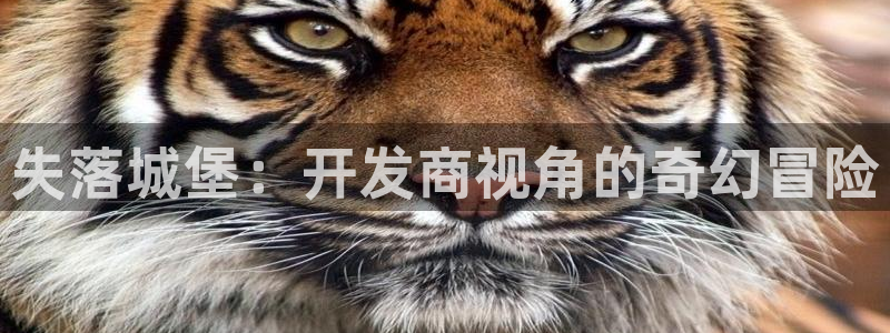 28大神加拿大开奖历史预测