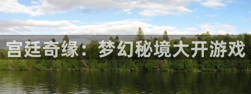 28大神怎么用不了