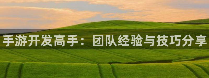 豪门国际专业版