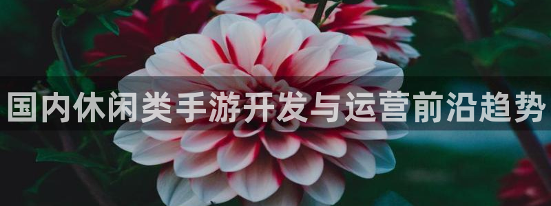 豪门国际加拿大在线上分