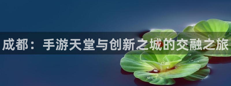 28大神官网网址是什么：成都：手游天堂与创新之城的交融之旅