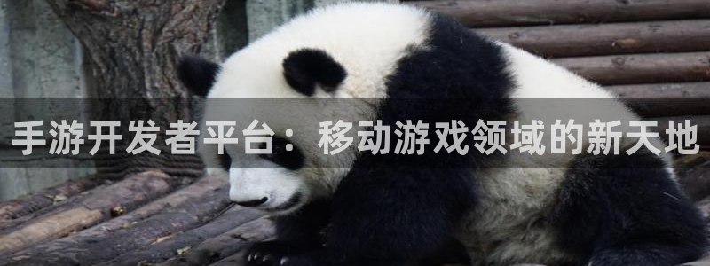 大神加拿大pc28官方开奖预测走势