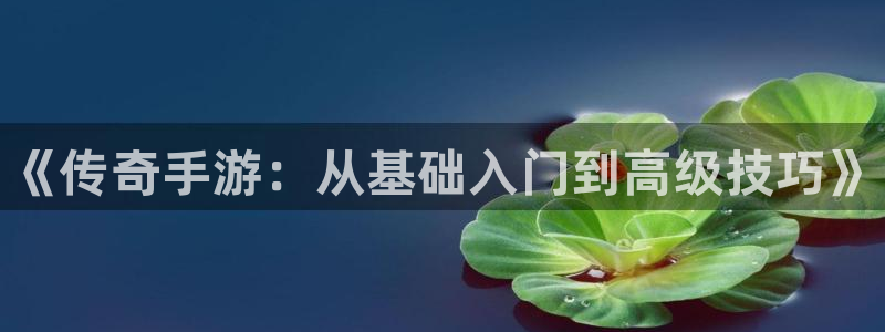 豪门国际预测官网：《传奇手游：从基础入门到高级技巧》