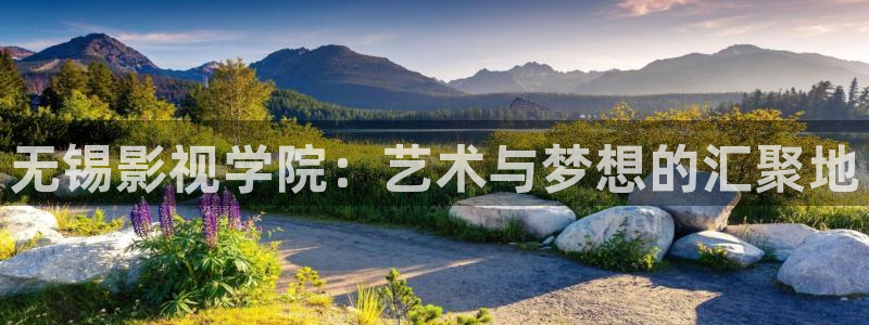 七七七米奇影院：无锡影视学院：艺术与梦想的汇聚地