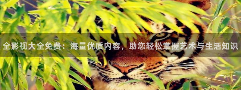 米奇影视久久：全影视大全免费：海量优质内容，助您轻松掌握艺术与生活知识