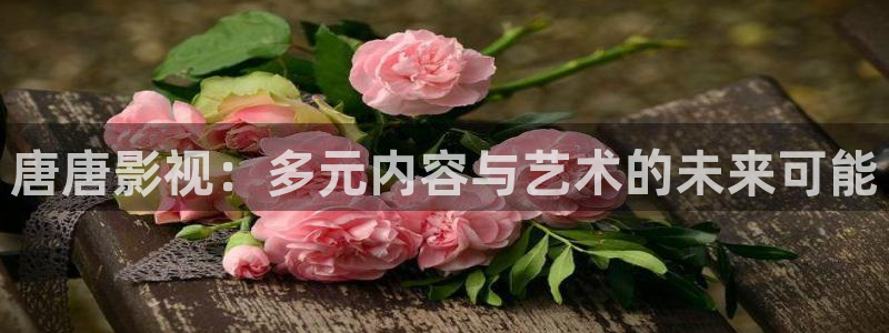 七七七米奇影院：唐唐影视：多元内容与艺术的未来可能