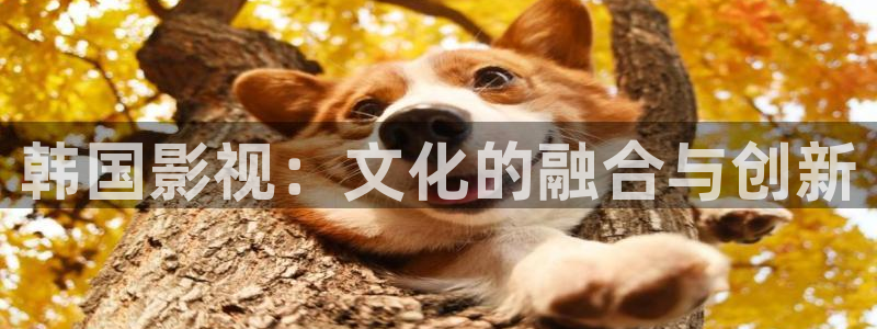 米奇影视777第四色：韩国影视：文化的融合与创新