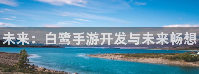 28大神怎么下载不了：未来：白鹭手游开发与未来畅想