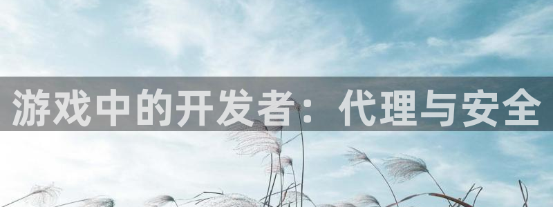 豪门国际在线对子预测：游戏中的开发者：代理与安全